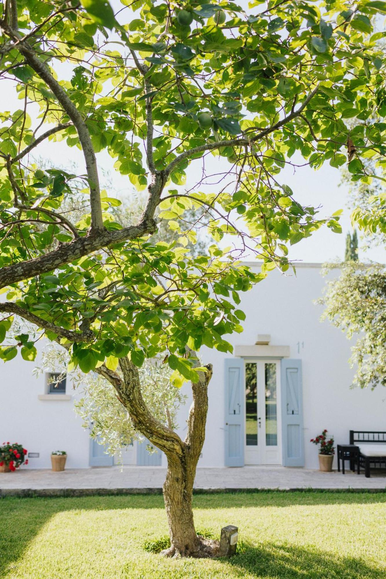 Masseria Montelauro Otranto Bagian luar foto