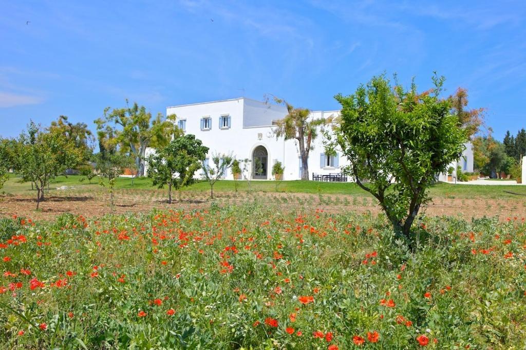 Masseria Montelauro Otranto Bagian luar foto
